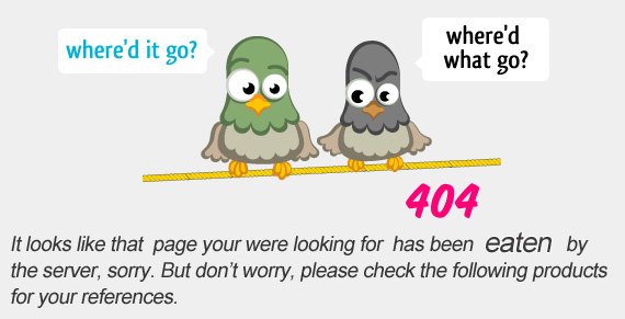 404 webpage error